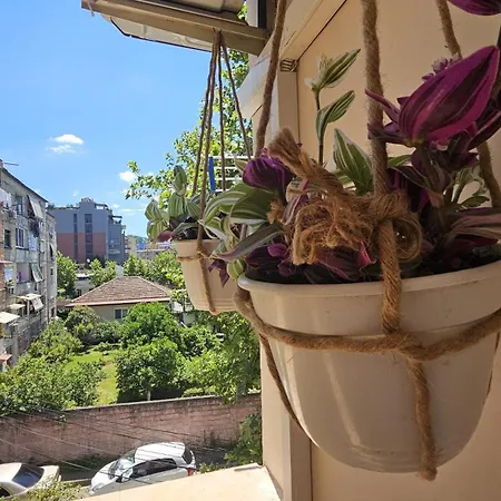 Apartment Ela 1 *